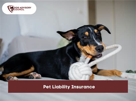 Liability Insurance for Pets | Dog Advisory Council