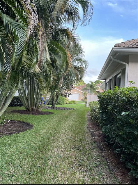 Foliage in the Lost Lake Golf Course area of Hobe Sound. : r/treasurecoast