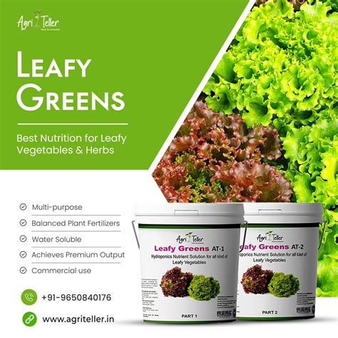 Balanced Houseplant Fertilizer