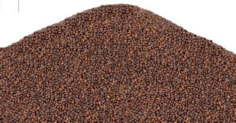 Shatras Agri - Trader - Wholesaler / Distributor of Organic Fertilizer ...