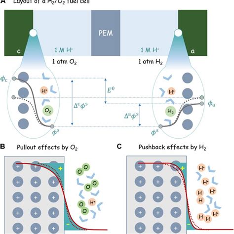 H2O2 Fuel Cell 的图像结果