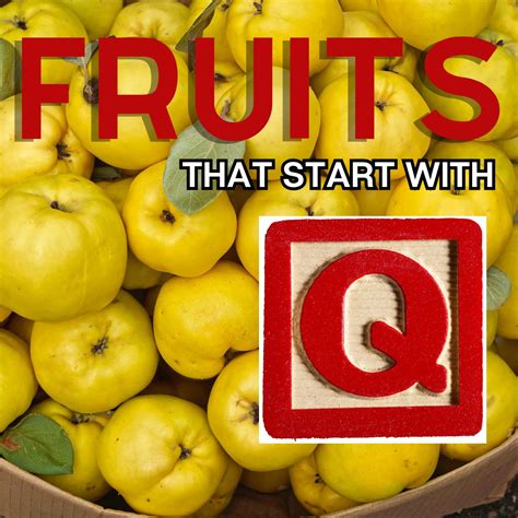 Fruits That Start With Q: 9+ Fruits Beginning With Q | Bake It With Love