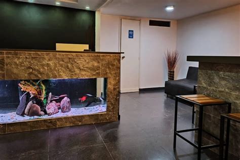 VIP SPA (2026) All You Need to Know BEFORE You Go (with Photos ...