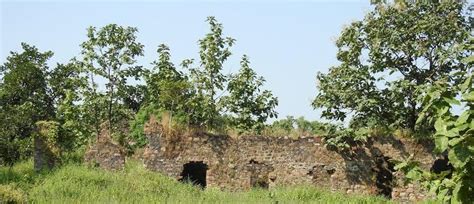 World War-II Prisnors Camp - Yaarnagar Jungle Resort