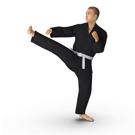 3D model Japanese Karate Fighter Black Suit Pose 2 with Fur | 3D Molier ...