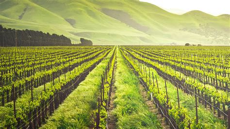 Image result for Examples of Statistical Significance