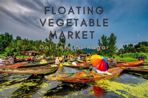 Floating Vegetable Market on Dal Lake in Srinagar | SIA Photography ...