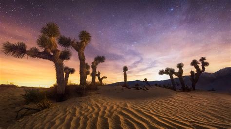 Joshua Tree Wallpaper Joshua Tree National Park – Park Review