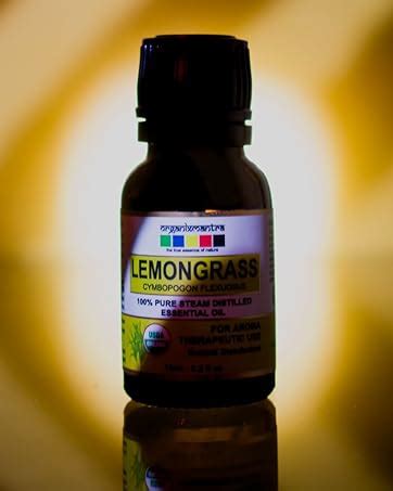 Buy Organix Mantra Rosemary Essential Oil 15ML, USDA Organic for Skin ...