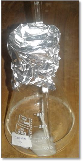 Fig. 2: In vitro experimental model setup