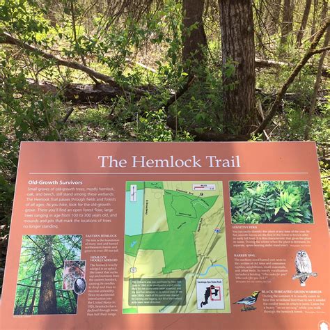 HEMLOCK TRAIL AREA - All You Need to Know BEFORE You Go 2026 (with ...