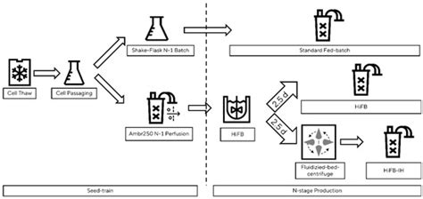 Triple Space-Time Yield in Discontinuous Antibody Biomanufacturing by ...