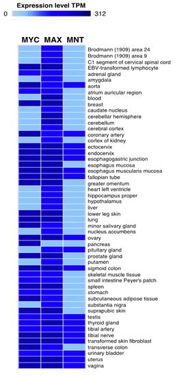 The Multiple Faces of MNT and Its Role as a MYC Modulator