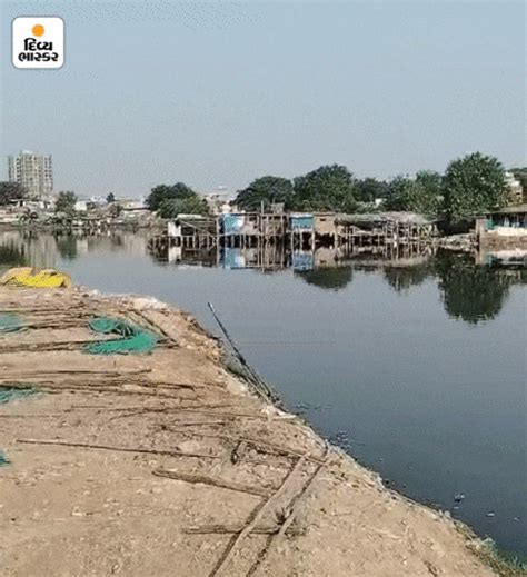 Two or three more 'Lalla Bihari's' will be caught, locals were ...