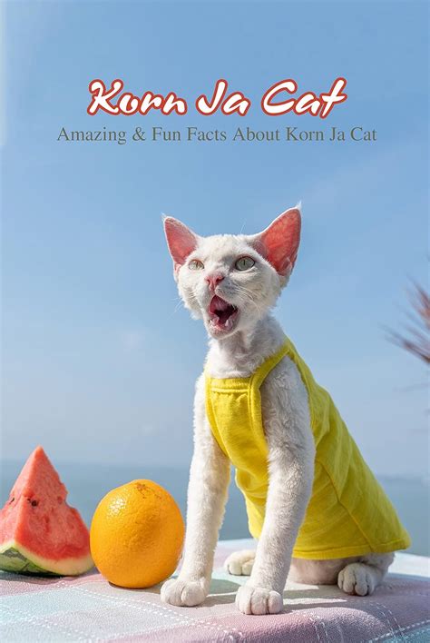 Korn Ja Cat: Amazing & Fun Facts About Korn Ja Cat: How Well Do You ...