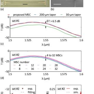 Image result for 20X Microscope Scale Bar