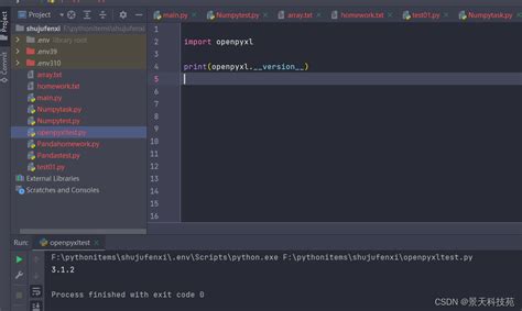 Openpyxl Excel 的图像结果
