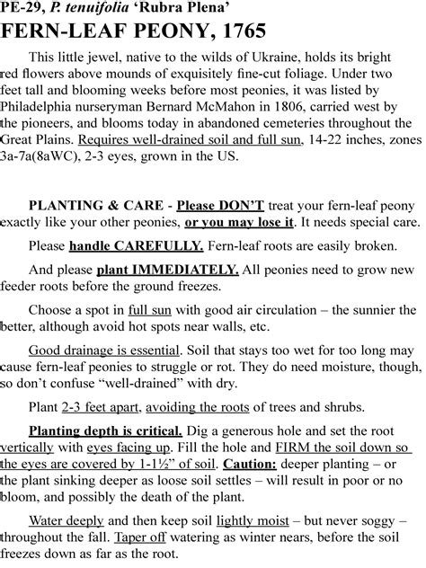 fern-leaf peony | Old House Gardens