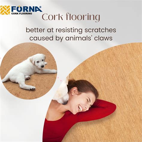 Cork Flooring Durability Pets – Flooring Site