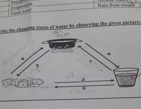 Name it correctly the changing states of water using the given pictureI ...