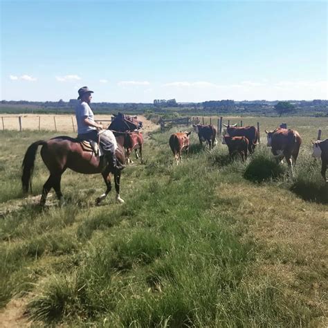 Gabriela Machado Dutra (@gabi_zootecnista) • Instagram photos and videos