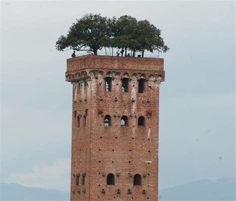 Torri Trevino Onlyfans