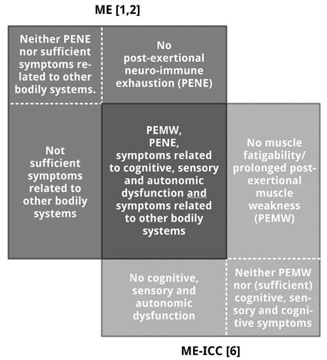 Myalgic Encephalomyelitis or What? The International Consensus Criteria