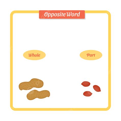 Mots Anglais Opposés Avec Illustration Vectorielle Darachide Entière Et ...