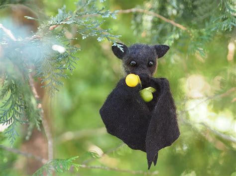Fruit Bat Baby Eating at Elaine Hudson blog