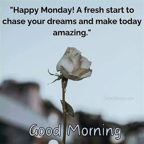 300+ Good Morning Happy Monday Images With Quotes - LatestImage.com ...