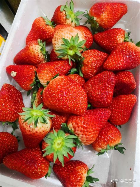 丹东草莓好吃么，牛奶草莓是怎么培育的？ - 知乎