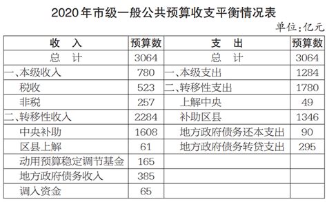 关于重庆市2019年预算执行情况和2020年预算草案的报告_重庆市人民政府网