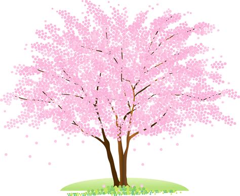 Spring Trees Cliparts Tree Cherry Blossom Clip Art PNG - Free #3812357
