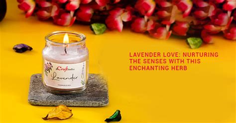 Lavender Love: Nurturing the Senses with this Enchanting Herb – eCraftIndia
