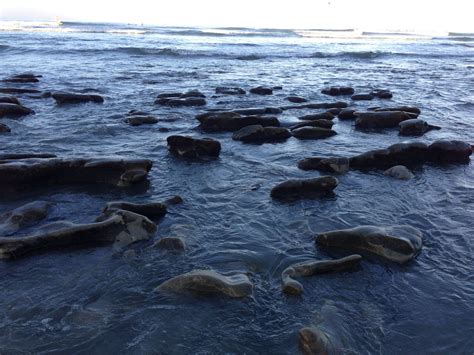 Carlsbad Tide Calendar | Plan Your Year Easily!