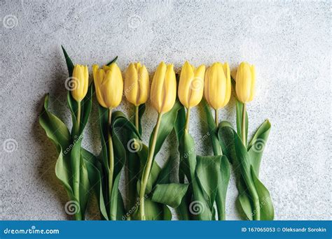 A bouquet of yellow tulips stock image. Image of design - 167065053