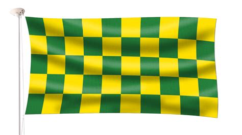 Chequered Green and Yellow Flag - Hampshire Flag Company