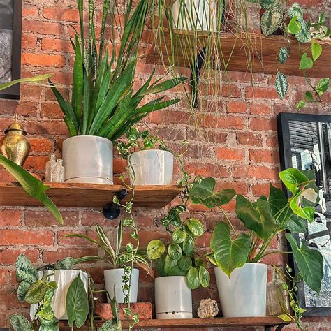 THE RISE COFFEE BAR, Charleston - Harleston Village - Restaurant ...