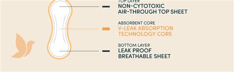 Buy Bliss Herbal Long Panty Liners (Pack of 20) - Bliss Natural – Green ...