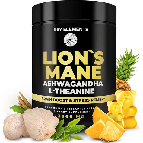 Potent Brain Boost: Productivity & Calmness with Lion’s Mane ...
