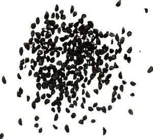 CYBEXIS Nutritious Fresh Fast Growing Onion Seeds for Garden Onion ...