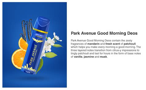 Buy Park Avenue Good Morning Fragrance Body Spray for Men, 220/250 ml ...