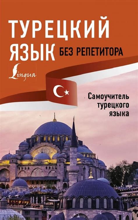 Турецкий язык без репетитора. Самоучитель турецкого языка - купить с ...