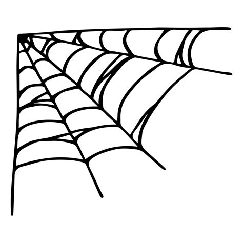 Simple hand drawn spider web illustration. Cute gossamer clipart ...