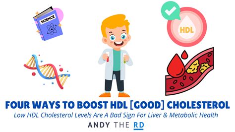 How To Raise Your Good [HDL] Cholesterol - 4 Tips - Andy The RD