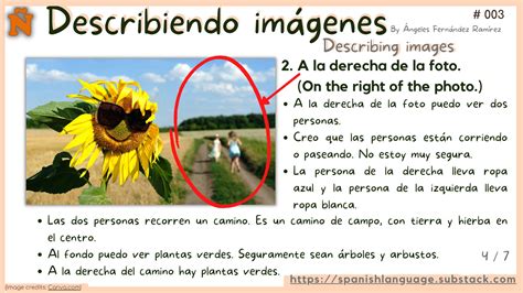 How to describe images in Spanish? (003)