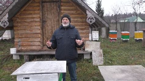 ПЧЕЛИНЫЙ КЛУБ не СЕЛ У ПЕРЕДНЕЙ СТЕНКИ что делать | Пасека Владимира ...