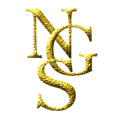 NGS Holdings