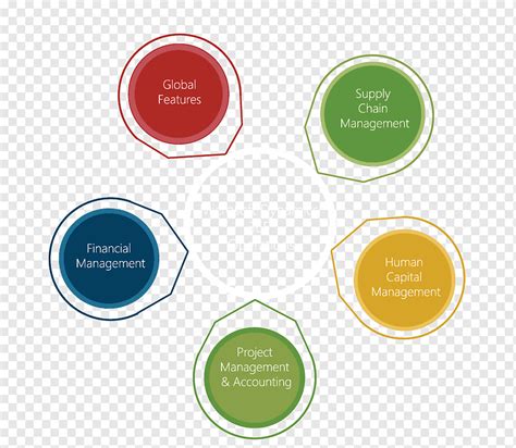 Organization Graphic PNG 的图像结果