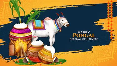 Pongal 2026: Happy Thai Pongal, 100+ English And Telugu Wishes ...